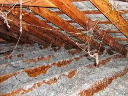 Different types of asbestos insulation- asbestos insulation types - Chrysotile Asbestos